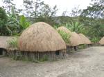 galleries/preview/Honai_Rumah_Tradisional_Papua_2.jpg
